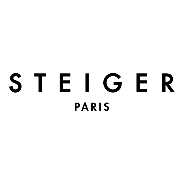 Walter Steiger Logo PNG Vector