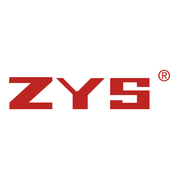ZYS Logo PNG Vector