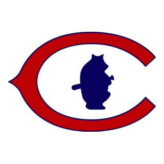 Cub Logo PNG Vectors Free Download