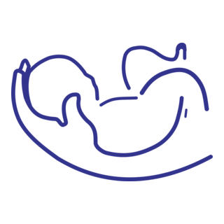 BABY Logo PNG Vector