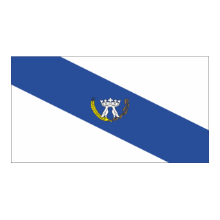 Bandeira Municipio Ponta Grossa - Paraná Logo PNG Vector