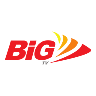 BiG TV Logo PNG Vector