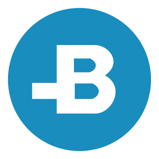 BitBay (BAY) Logo PNG Vector