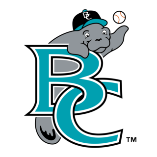BREVARD COUNTY MANATEES Logo PNG Vector