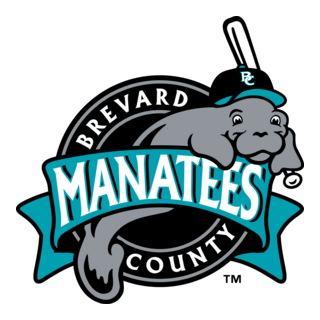 BREVARD COUNTY MANATEES Logo PNG Vector