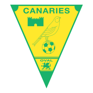 Caernarfon Town FC Logo PNG Vector