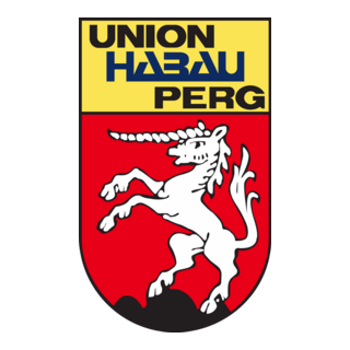 DSG Union Perg Logo PNG Vector