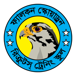 Falcon-Squadron Logo PNG Vector