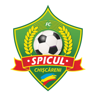FC Spicul Chiscareni Logo PNG Vector