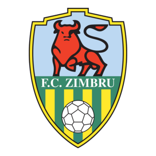 FC Zimbru Chisinau Logo PNG Vector