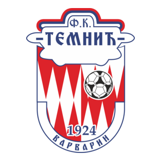 FK Temnic 1924 Varvarin Logo PNG Vector