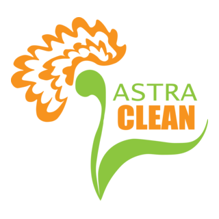 flower the Aster Logo PNG Vector