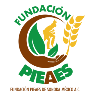 Fundacion Pieaes Logo PNG Vector