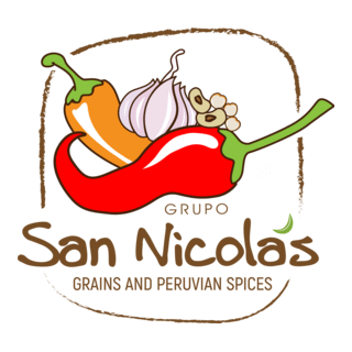 Grupo San Nicolas Logo PNG Vector