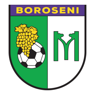 Moldova Boroseni Logo PNG Vector