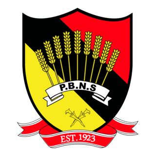 Negeri Sembilan FA 2015- Logo PNG Vector