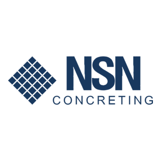 NSN Logo PNG Vector