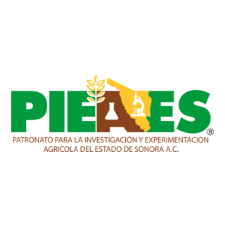 Pieaes Logo PNG Vector