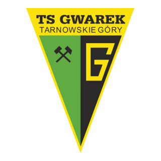 TS Gwarek Tarnowskie Góry Logo PNG Vector