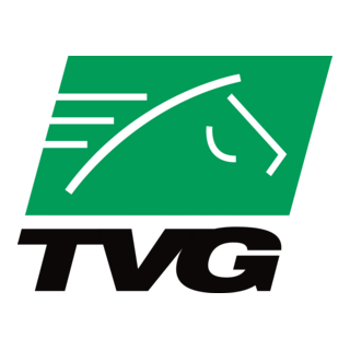 TVG Logo PNG Vector
