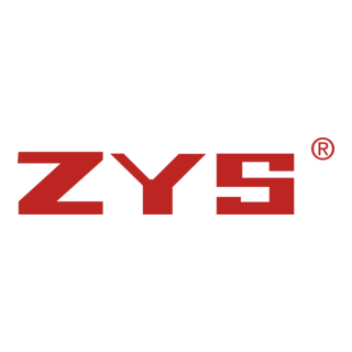 ZYS Logo PNG Vector