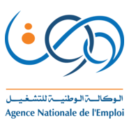 Agence nation de l'emploi ANEM Logo PNG Vector