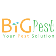 BIG PEST Logo PNG Vector