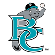 BREVARD COUNTY MANATEES Logo PNG Vector