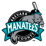 BREVARD COUNTY MANATEES Logo PNG Vector