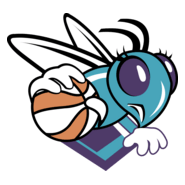 Charlotte Sting Logo PNG Vector