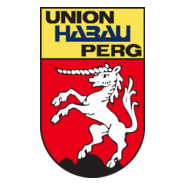 DSG Union Perg Logo PNG Vector