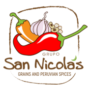 Grupo San Nicolas Logo PNG Vector