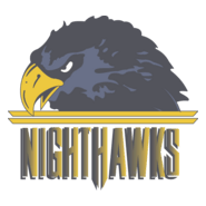 NORFOLK NIGHTHAWKS Logo PNG Vector