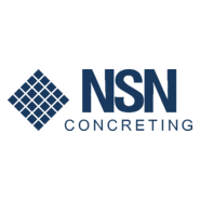 NSN Logo PNG Vector