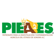 Pieaes Logo PNG Vector