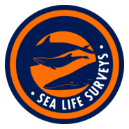 SEA LIFE SURVEYS Logo PNG Vector