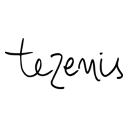 Tezenis old Logo PNG Vector