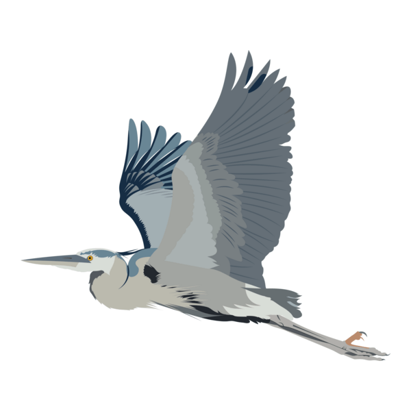 Bird Logo PNG Vector