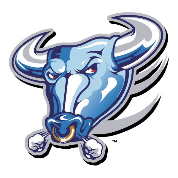Buffalo Bulls Logo PNG Vector