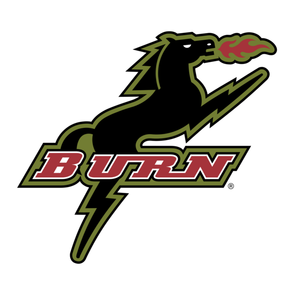 Burn Logo PNG Vector