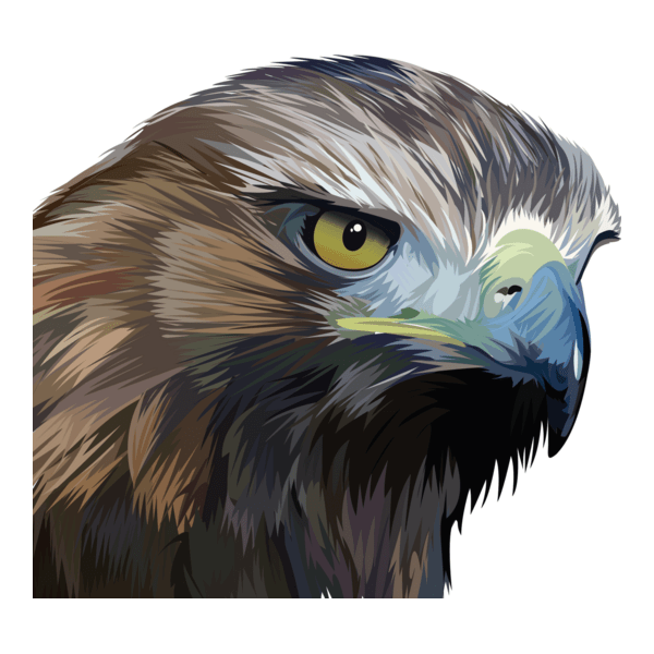 eagle Logo PNG Vector