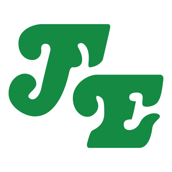 FASTEN Logo PNG Vector