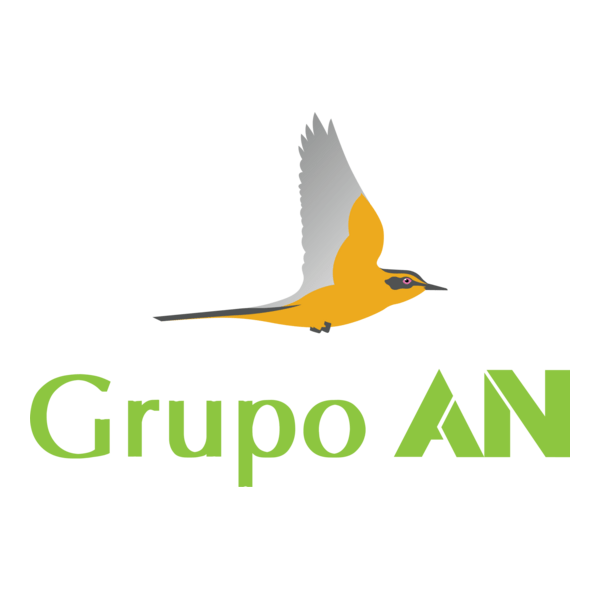 Grupo AN Logo PNG Vector