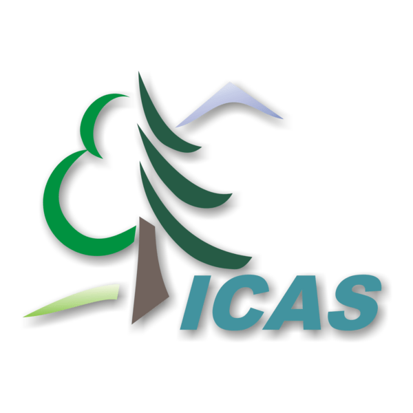 ICAS Logo PNG Vector