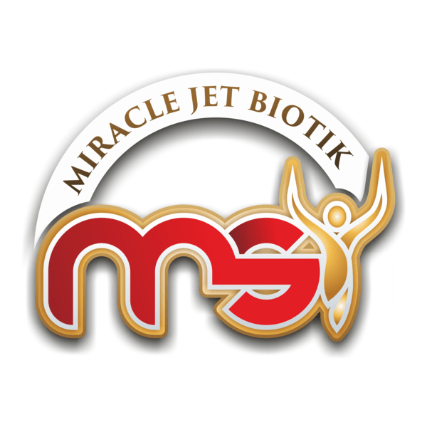 MSI Indonesia Logo PNG Vector