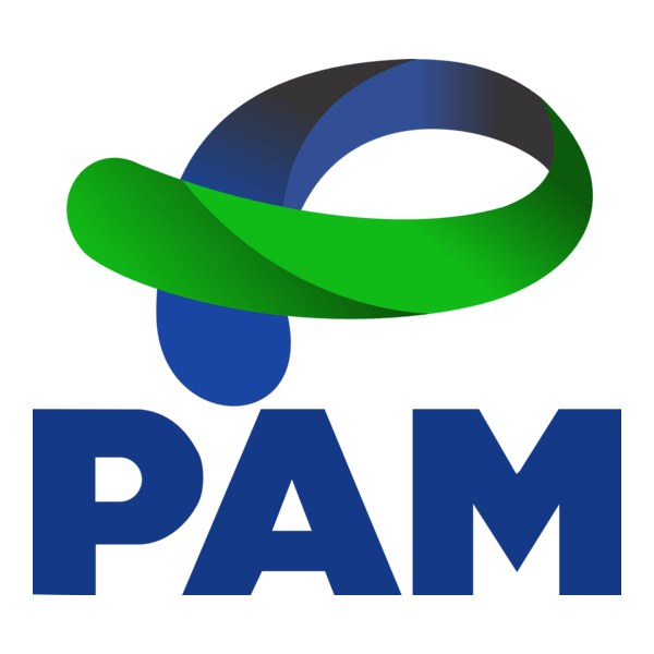 PAM Governo do Paraná Logo PNG Vector
