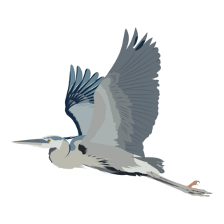 Bird Logo PNG Vector