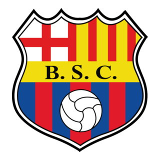 BSC Logo PNG Vector