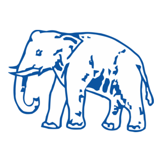 BSP Logo PNG Vector