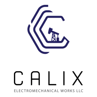 CALIX ELECTRO Logo PNG Vector